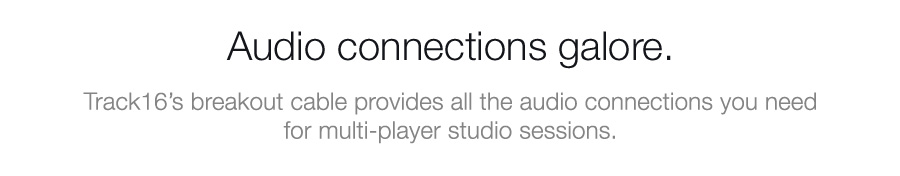 Audio connections galore. Track16’s breakout cable provides all the audio connections you need
for multi-player studio sessions.